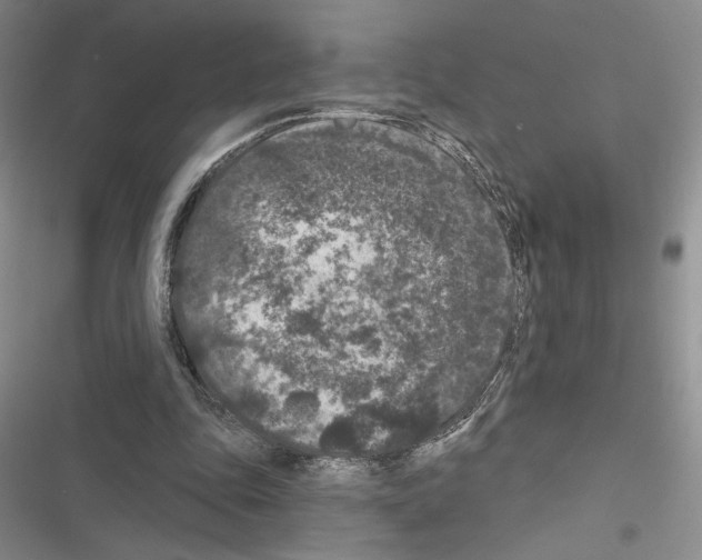 X0000116610343201001221323