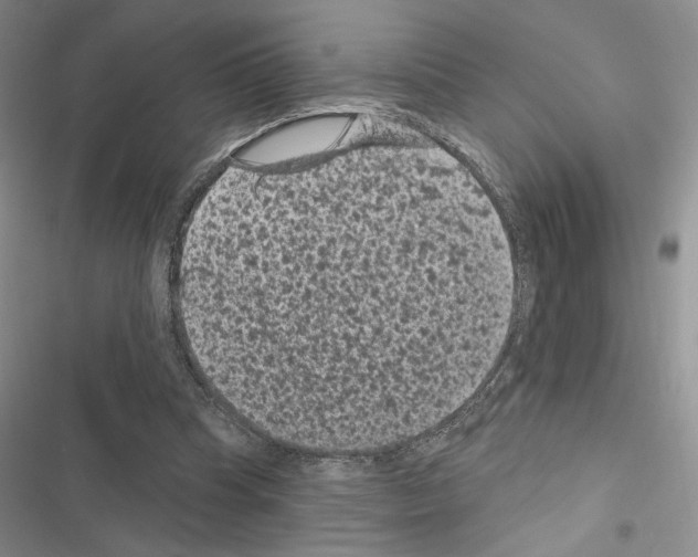 X0000116610345201001221323