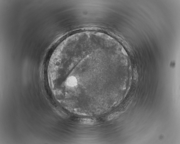 X0000116610347201001221323