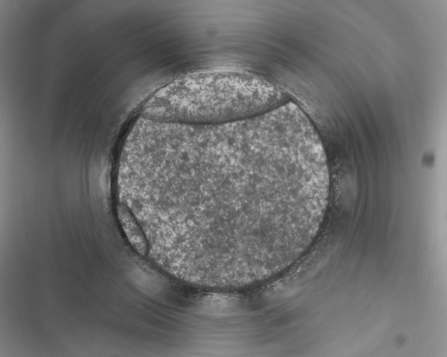 X0000116610350201001221323