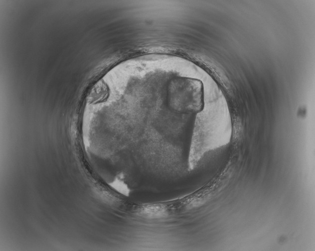 X0000116610353201001221323