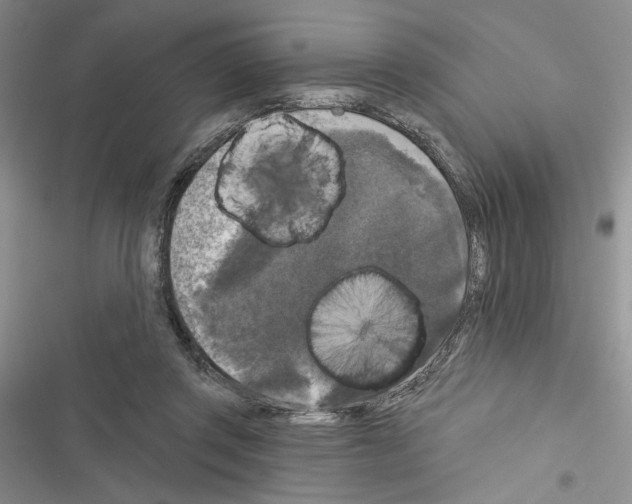 X0000116610357201001221324