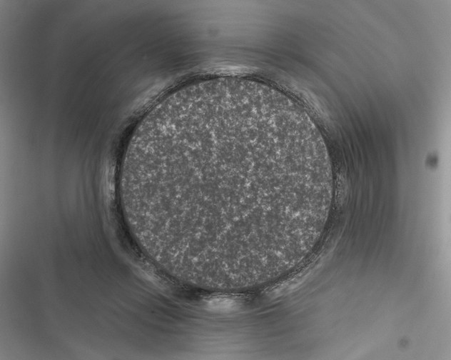 X0000116610358201001221324