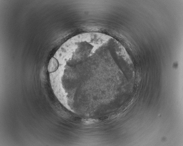 X0000116610359201001221324