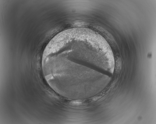 X0000116610361201001221324