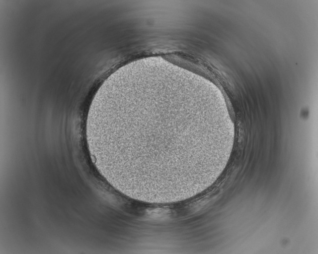 X0000116610362201001221324