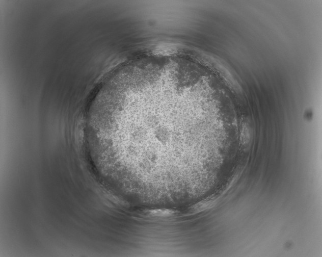 X0000116610363201001221324