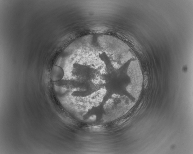 X0000116610365201001221324