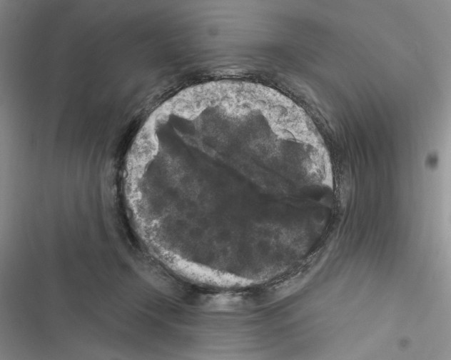 X0000116610366201001221324