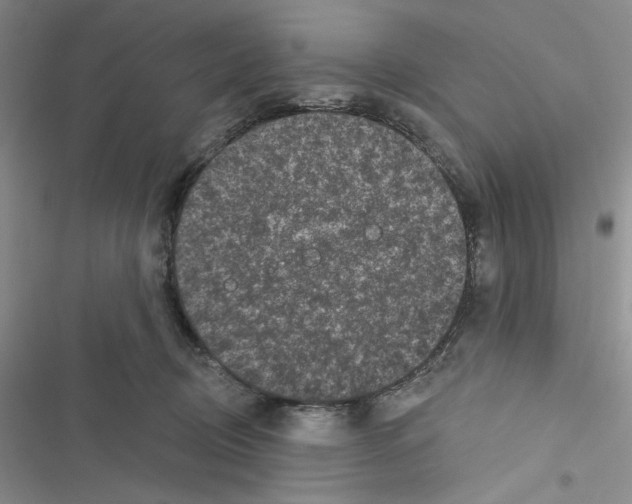 X0000116610370201001221324