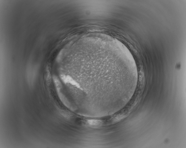 X0000116610371201001221324