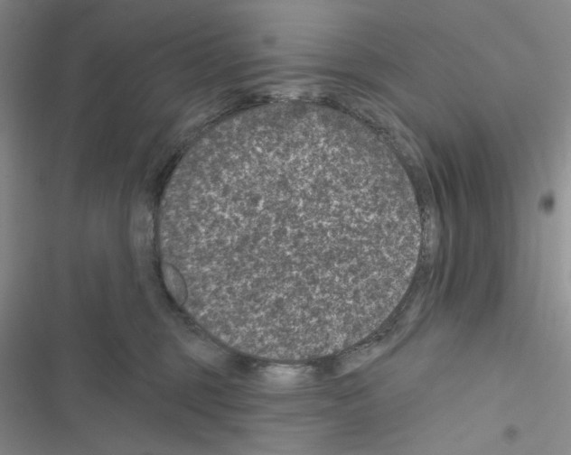 X0000116610375201001221324