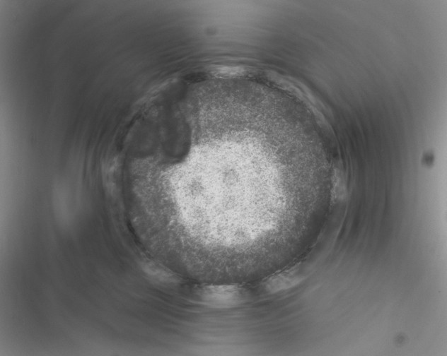 X0000116610377201001221324