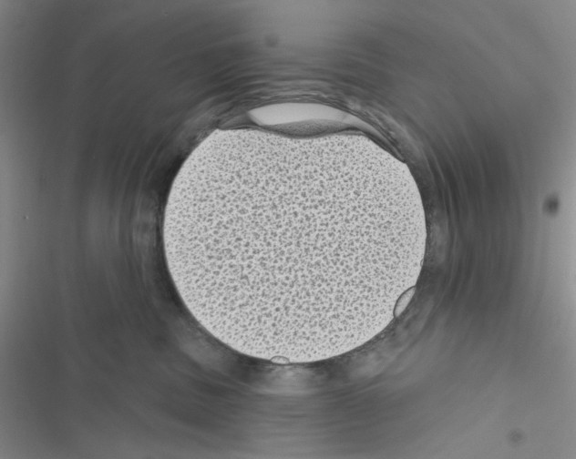 X0000116610379201001221324