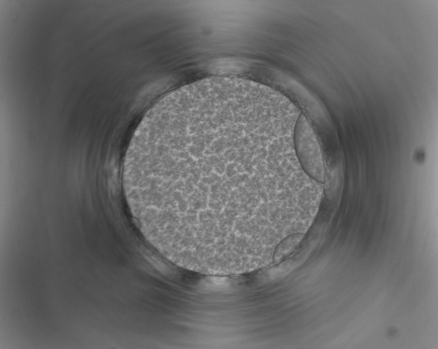 X0000116610381201001221324