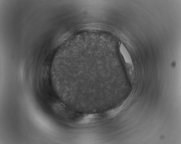 X0000116610382201001221324