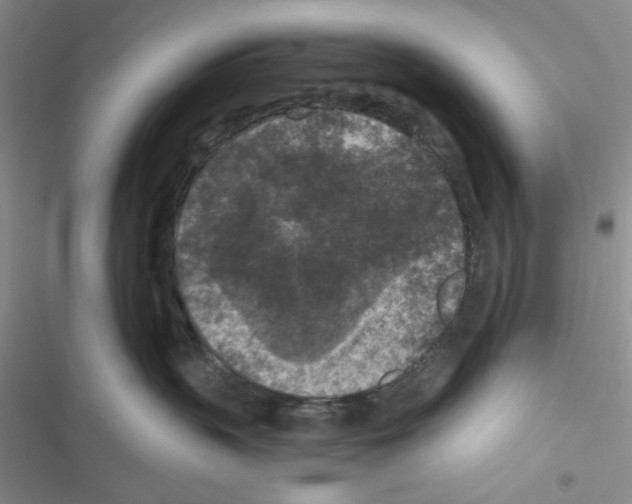 X0000116610383201001221324