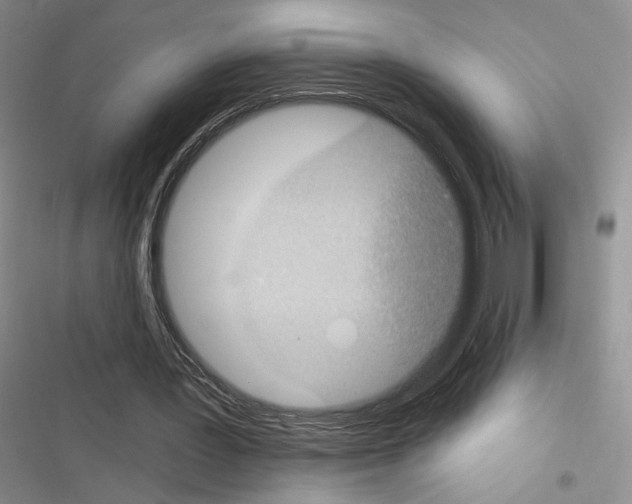 X0000116610387201001221323