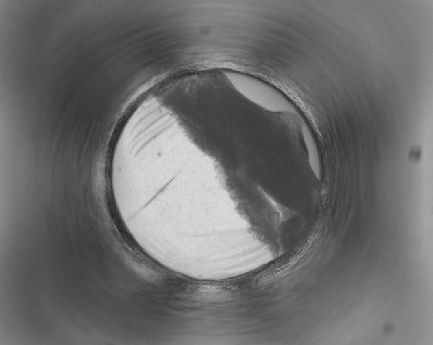 X0000116610390201001221323