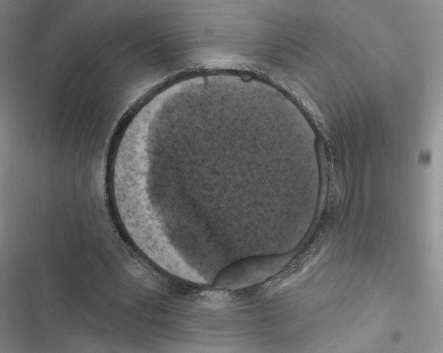 X0000116610391201001221323