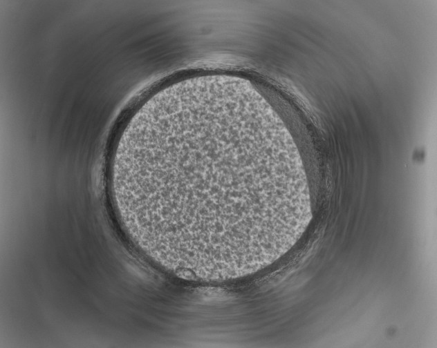 X0000116610392201001221323