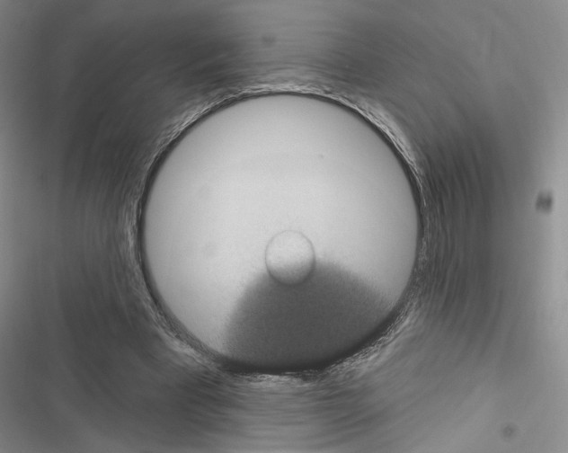 X0000116610393201001221323