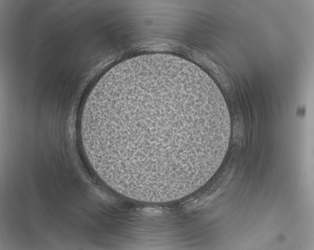 X0000116610394201001221323