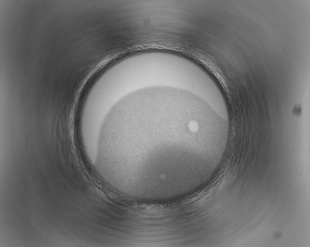 X0000116610395201001221323