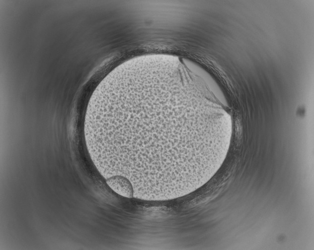 X0000116610396201001221323