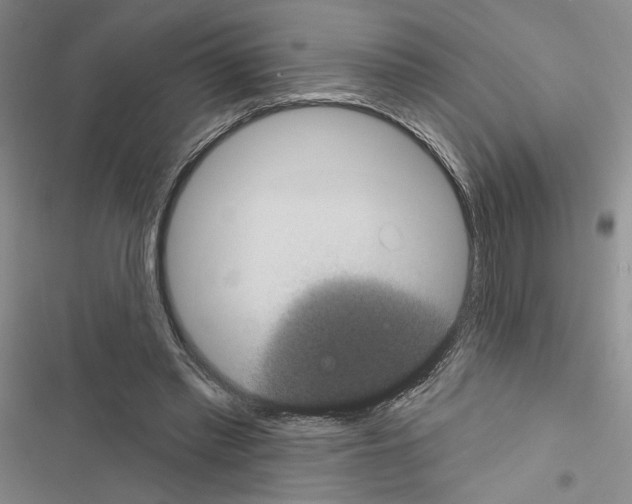 X0000116610397201001221323