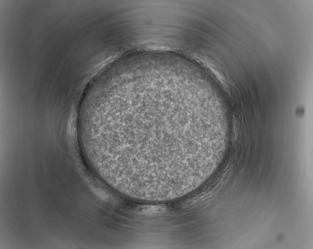 X0000116610398201001221323