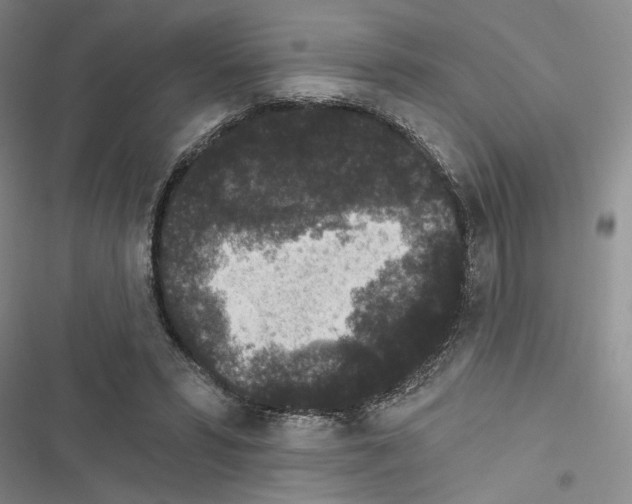 X0000116610399201001221323