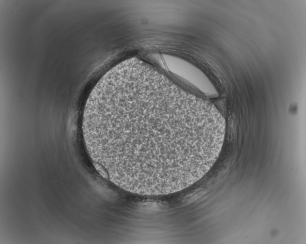 X0000116610404201001221323