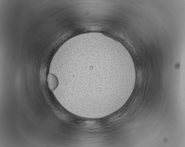 X0000116610406201001221323