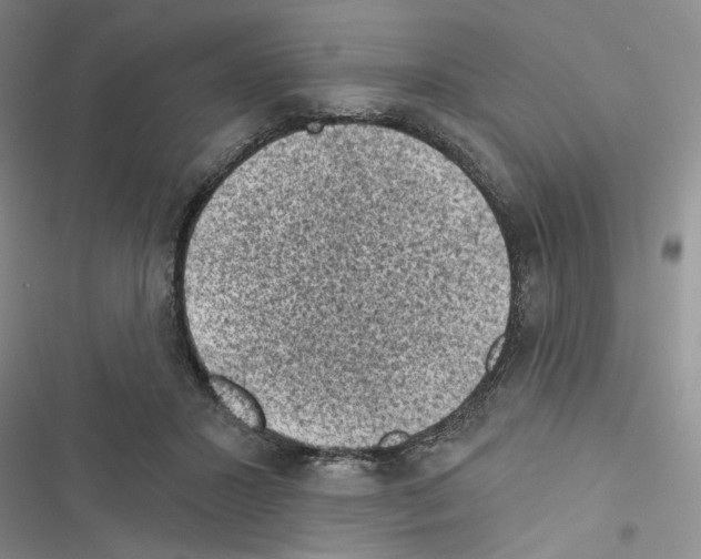 X0000116610407201001221323