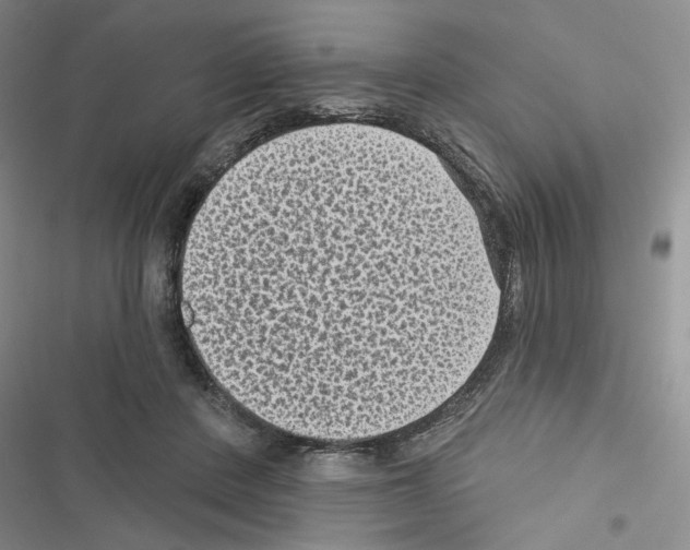 X0000116610408201001221323