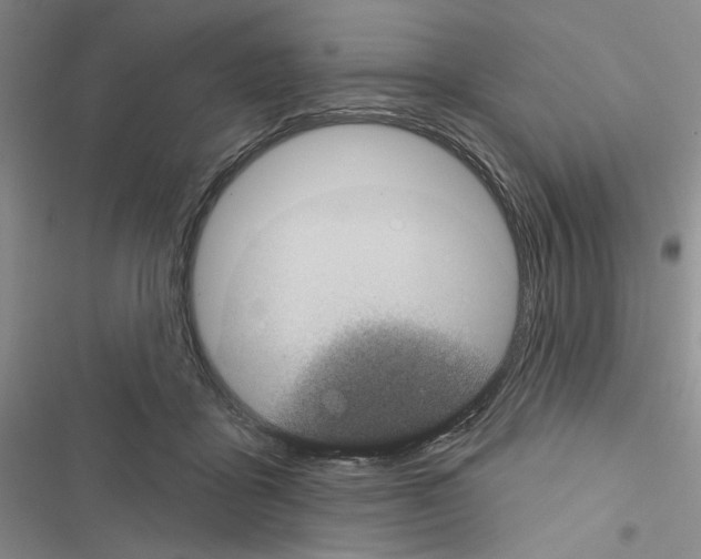 X0000116610411201001221323