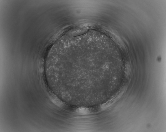 X0000116610413201001221323