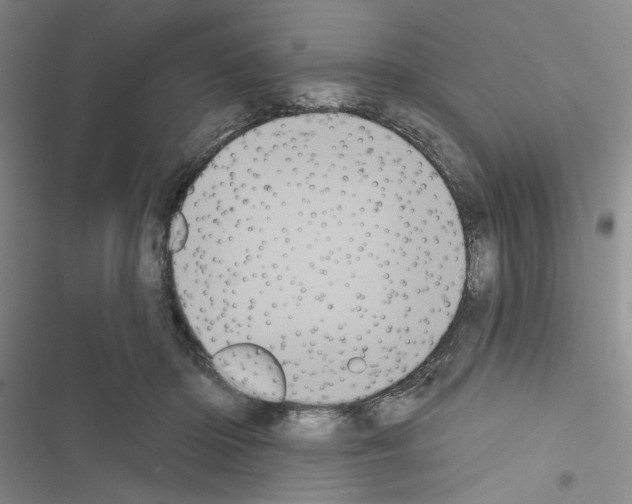 X0000116610414201001221323