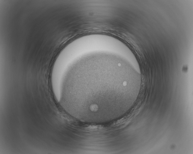 X0000116610415201001221323