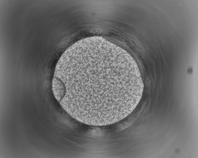 X0000116610416201001221323