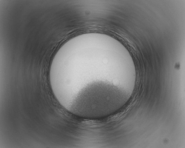 X0000116610417201001221323