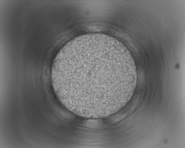 X0000116610418201001221323