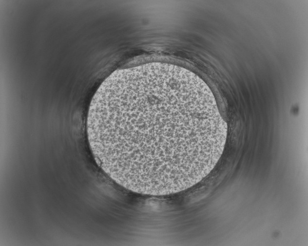 X0000116610420201001221323