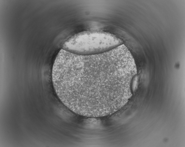 X0000116610421201001221323