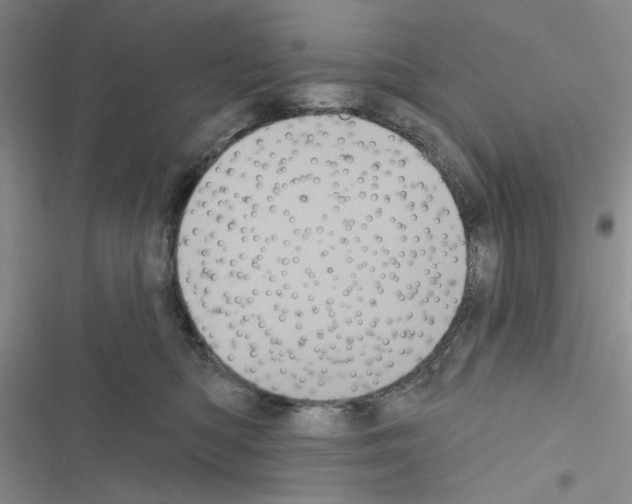 X0000116610422201001221323