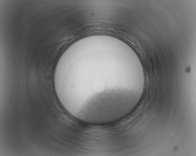 X0000116610423201001221323