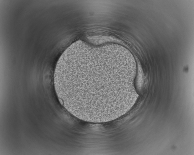 X0000116610424201001221323