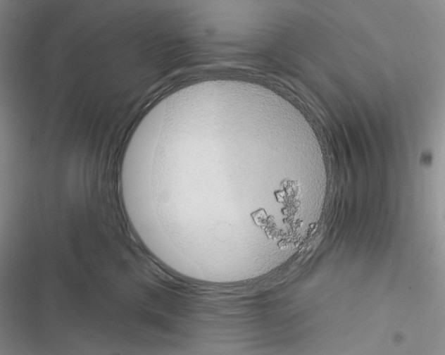 X0000116610425201001221323