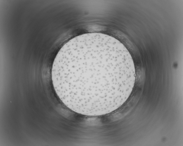 X0000116610426201001221323